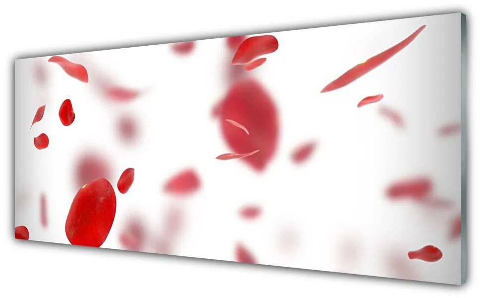 Obraz na akrylátovom skle Ruže plátky 125x50 cm