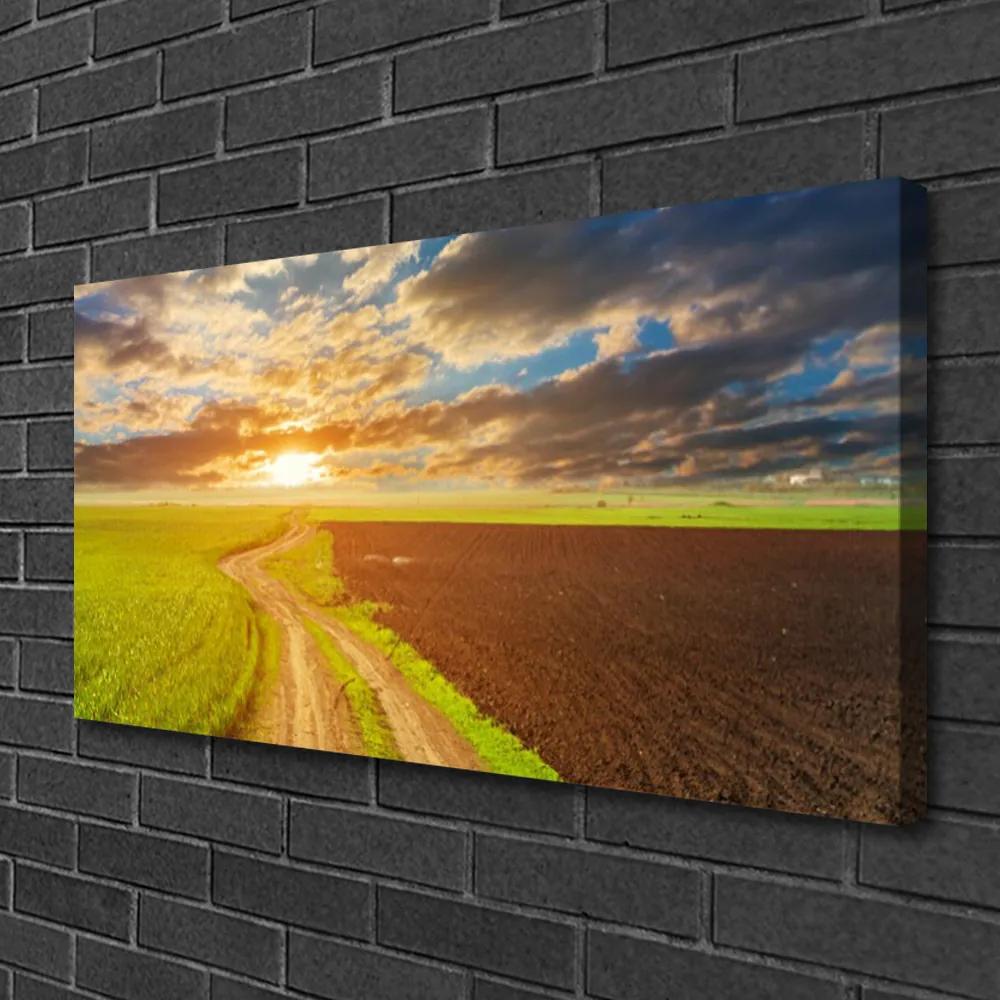 Obraz Canvas Pole nebo slnko príroda 125x50 cm
