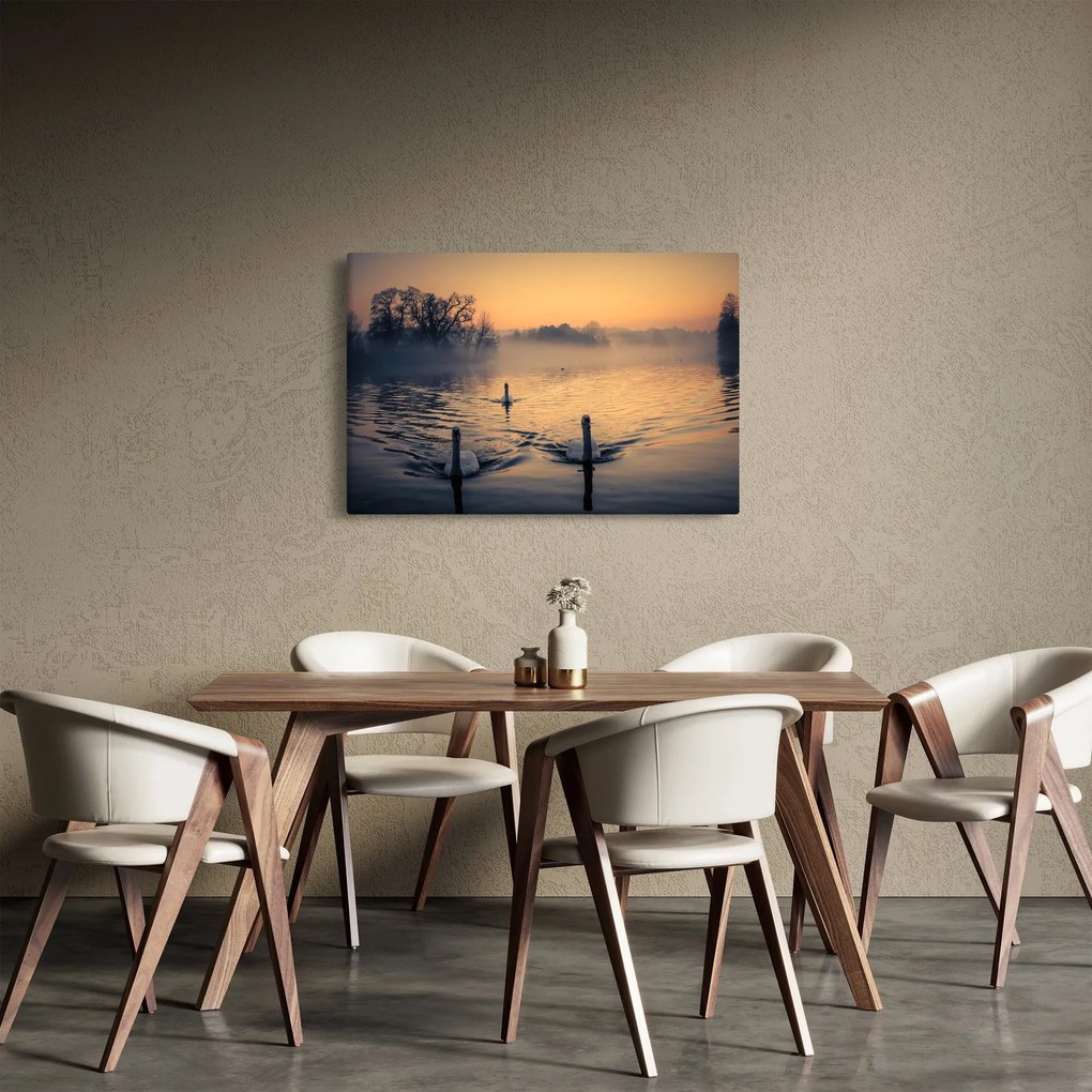 Obraz labutí na vode v hmle (90x60 cm)