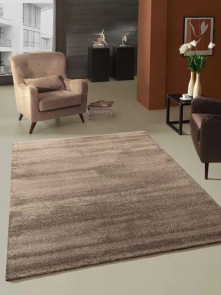Berfin Dywany Kusový koberec Toscana 0100 Brown - 160x230 cm