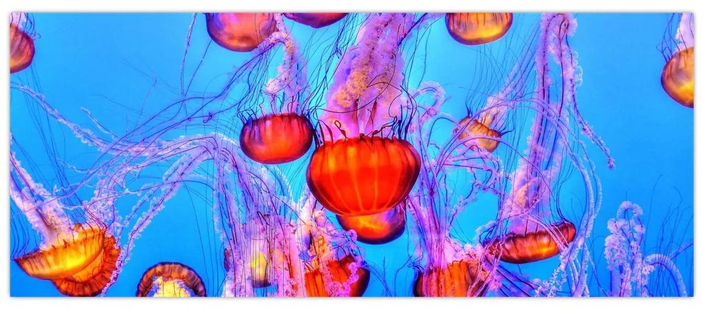 Obraz medúz v mori (120x50 cm)