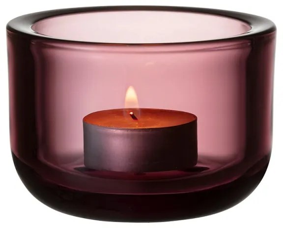 Svietnik Valkea, ružový calluna