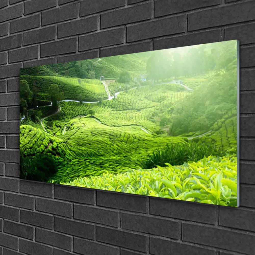 Obraz na skle Lúka príroda 140x70 cm
