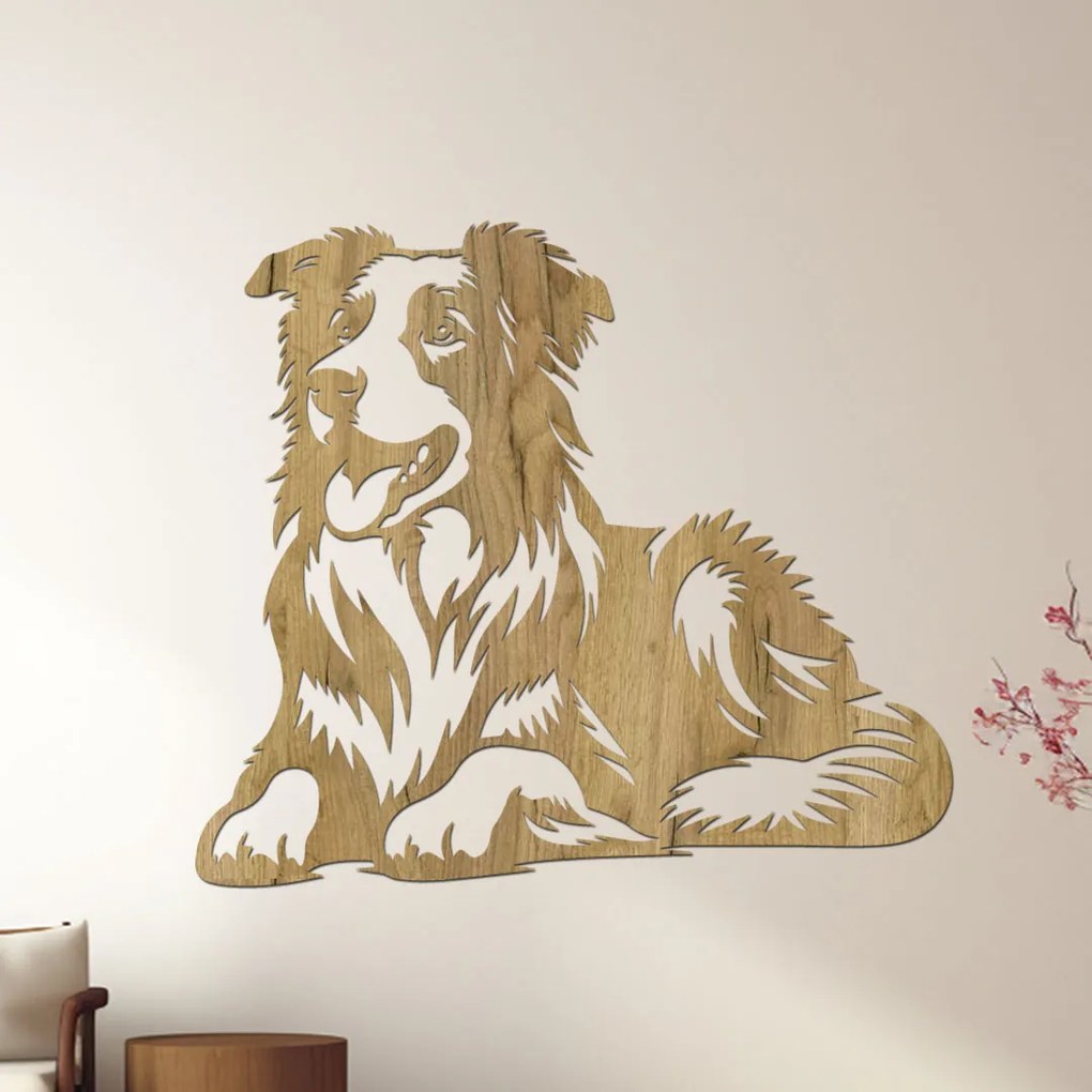 dřevo života Drevený obraz psa BORDER COLLIE Rozmery - cm: 40x34, Zvoľte farbu dekoru: Buk