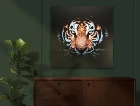 Obraz na plátne Tigrie pohľad, 80x80 cm%