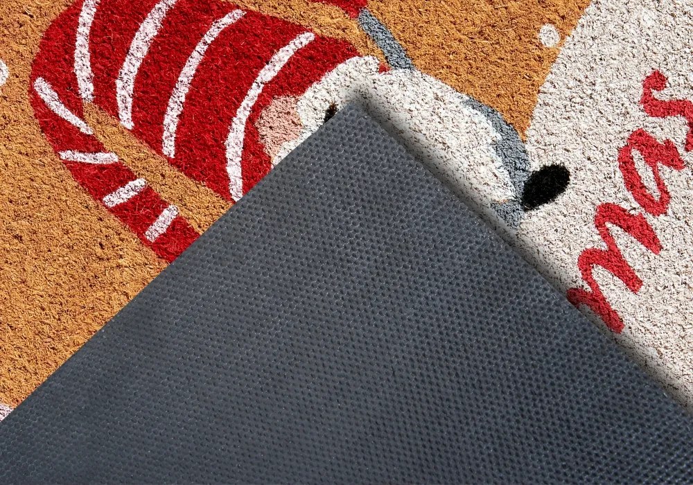 Rohožka Trpaslíci na snehu 106201 - na von aj na doma, 40x70, hnedá, chodba / predsieň, Hanse Home