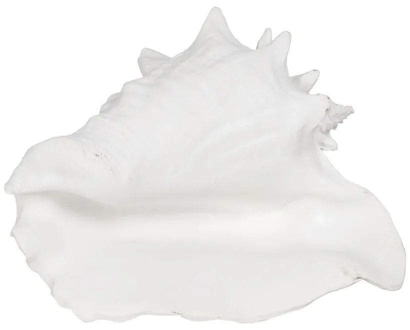 Soška z polyresínu (výška 13 cm) Seashell – Ixia