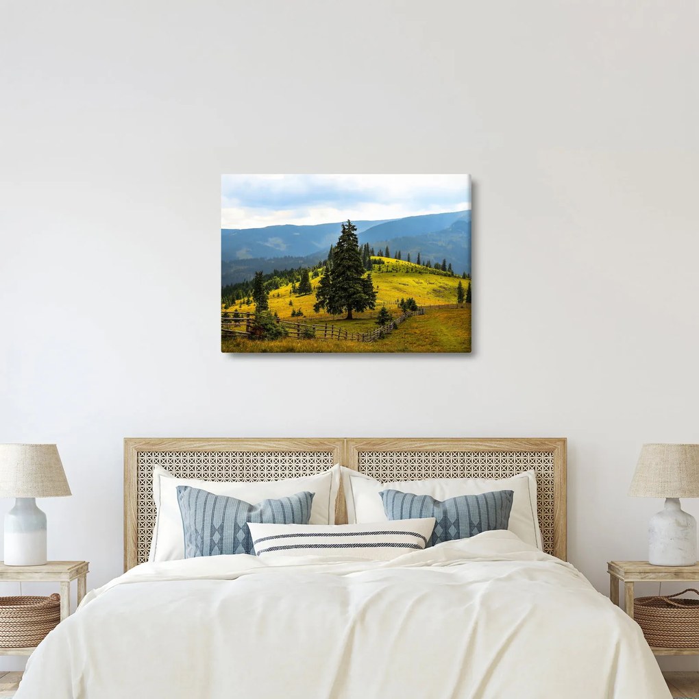 Obraz - Horská lúka (70x50 cm)