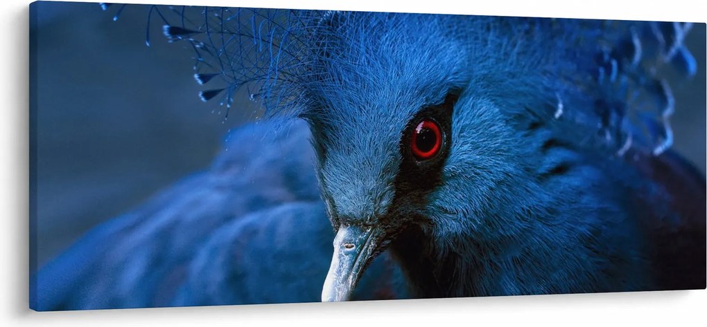 Obraz - Holub korunovaný (120x50 cm)