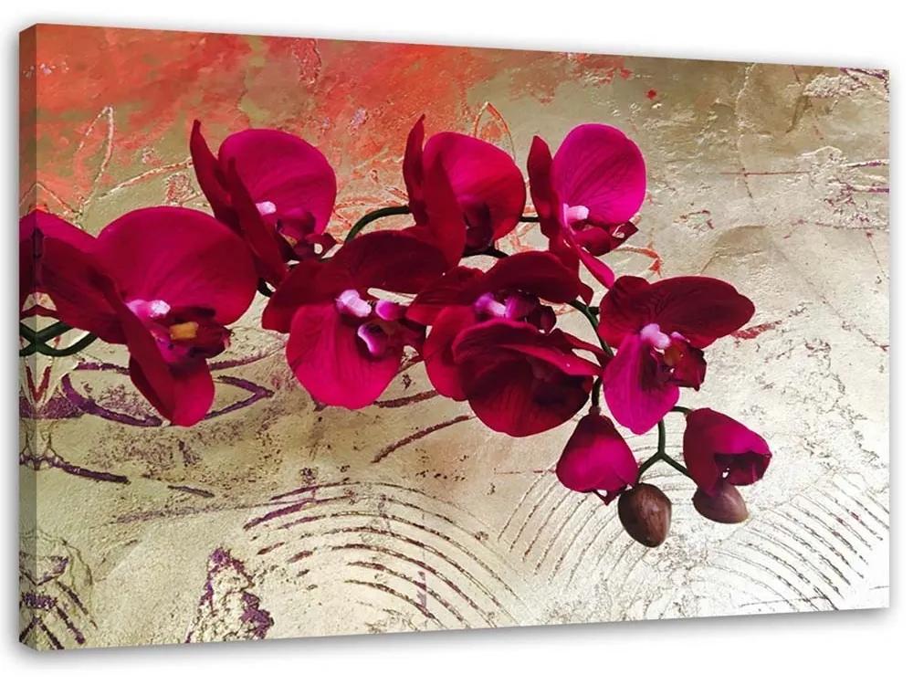 Obraz na plátně Růžová orchidej Květina Textura - 100x70 cm