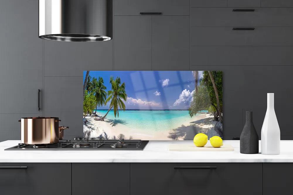 Nástenný panel  More pláž palma krajina 120x60 cm