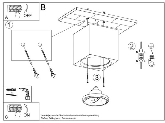 Stropné svietidlo SEIDA 1xGU10/40W/230V