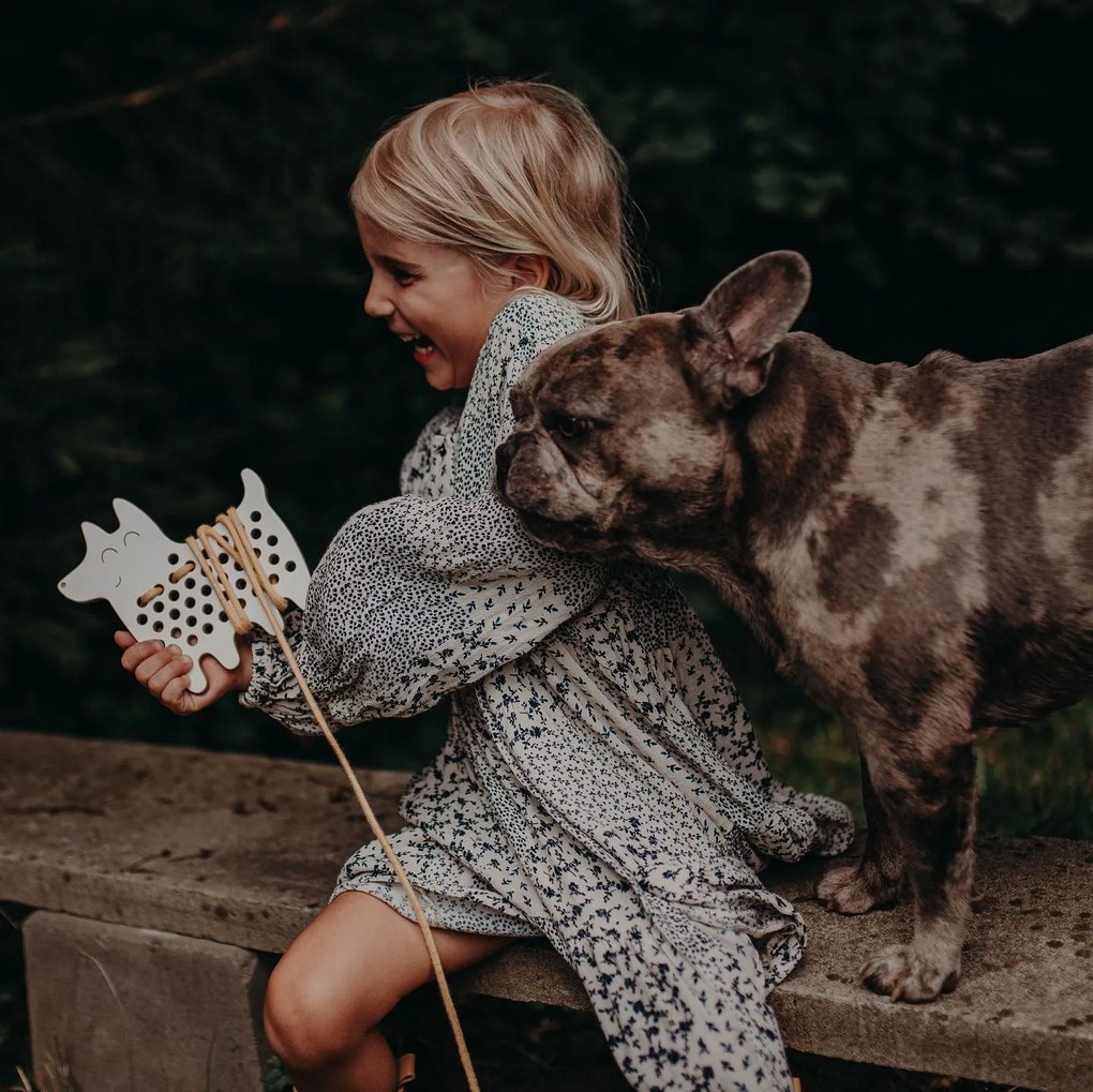 Montessori dřevěná prepletacia hračka - pes