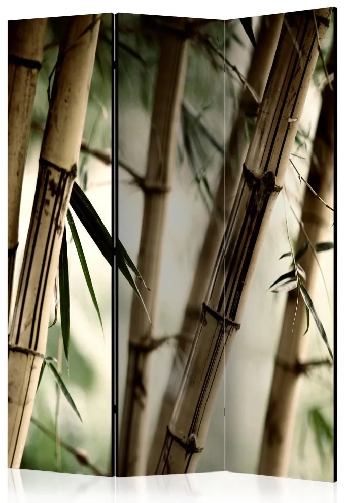 Artgeist Paraván - Fog and bamboo forest [Room Dividers]