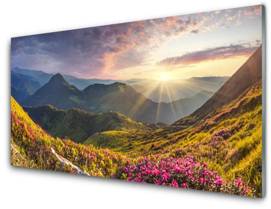 Obraz plexi Hora lúka slnko krajina 120x60 cm
