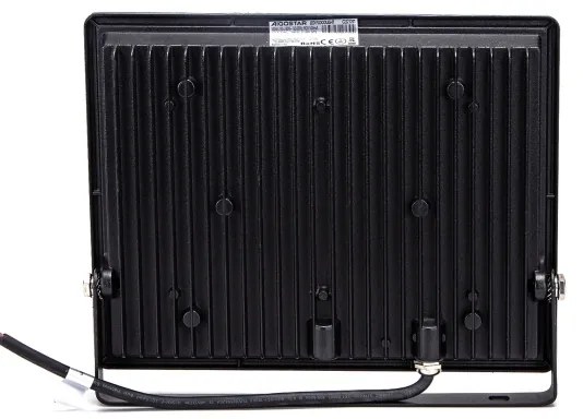 Aigostar - LED RGB Reflektor LED/100W/230V IP65 + DO