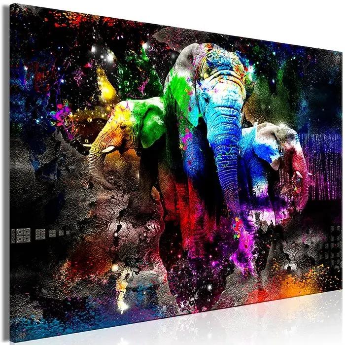 Obraz - Colorful Elephants (1 Part) Wide Veľkosť: 120x80, Verzia: Na talianskom plátne