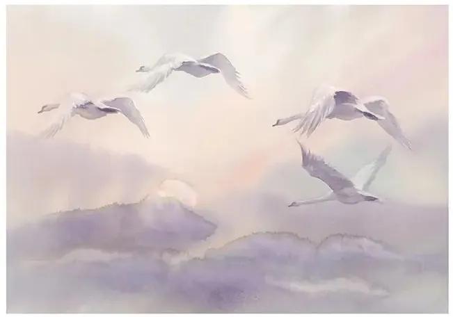 Fototapeta - Flying Swans Veľkosť: 300x210, Verzia: Premium