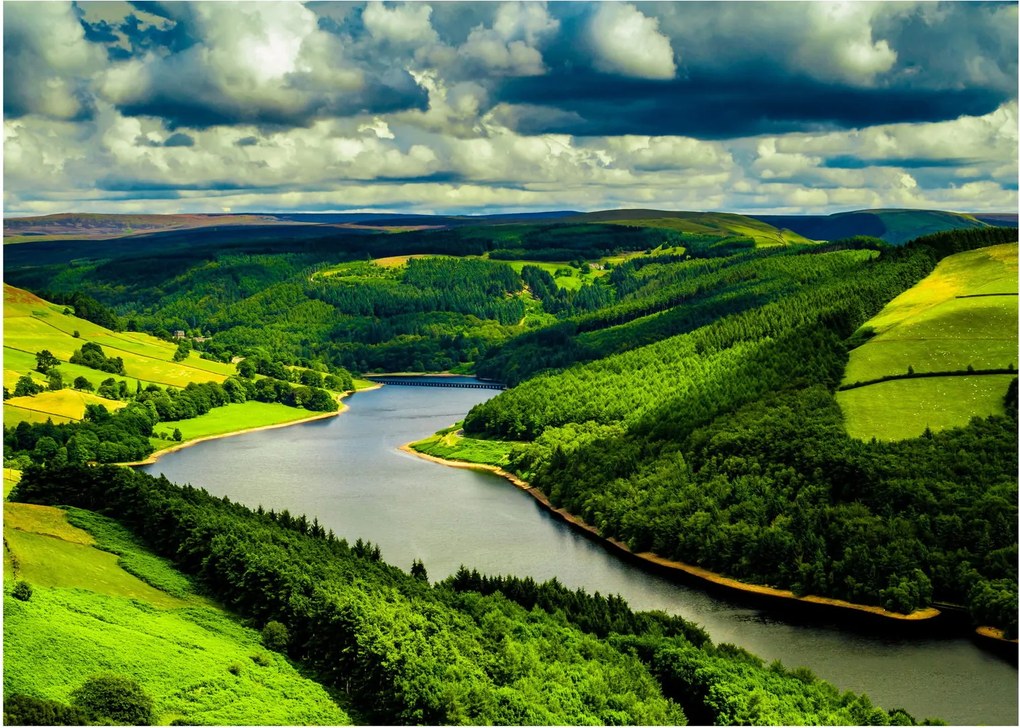 Obraz - Zelená krajina (70x50 cm)