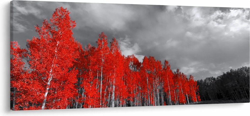 Obraz - Stromy vo farbe jesene (120x50 cm)