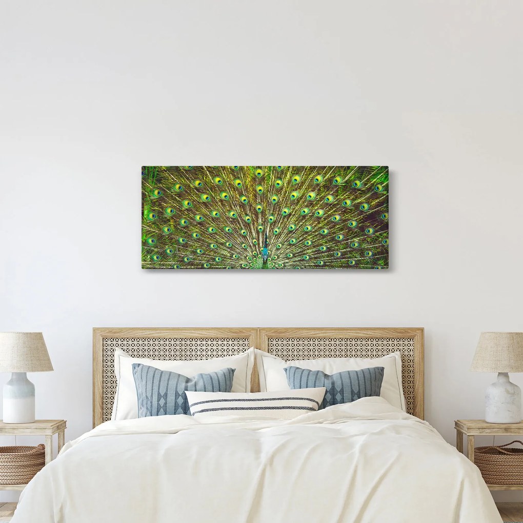 Obraz - Páv (120x50 cm)