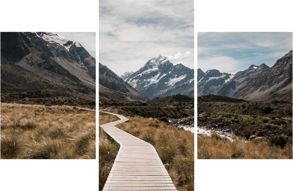 Obraz - Chodník v údolí hory Mt. Cook (90x60 cm)