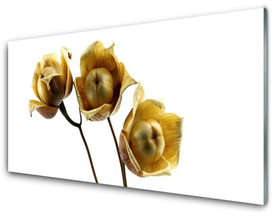Obraz na akrylátovom skle Kvety rastlina 140x70cm