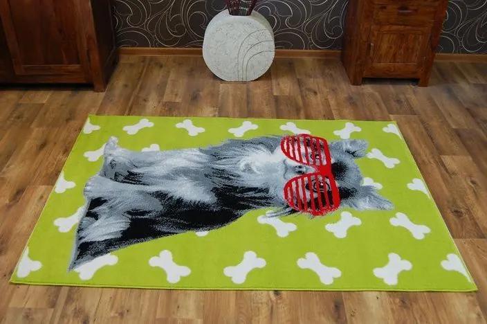 MAXMAX Detský koberec CRAZY DOG - zelený