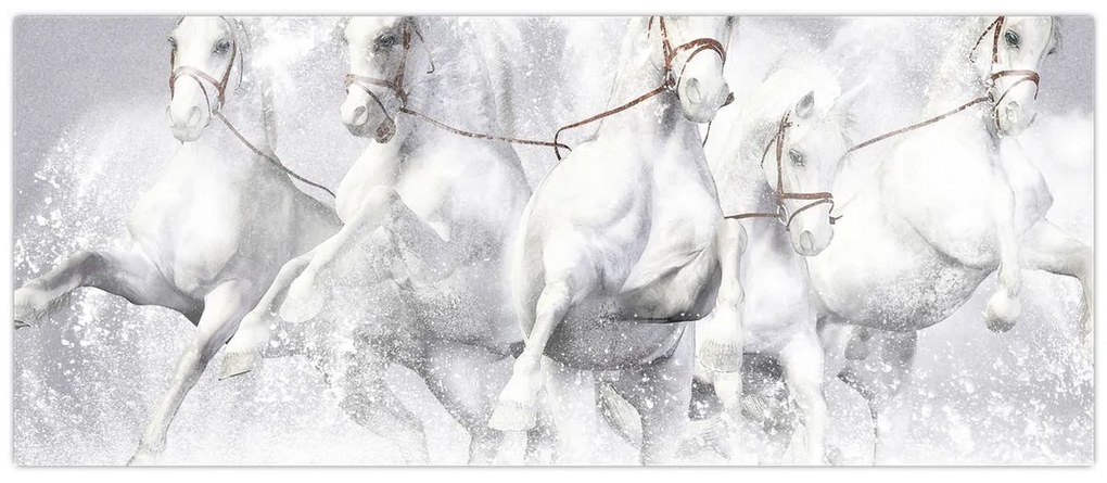 Obraz - Ilustrácie závodných koní (120x50 cm)