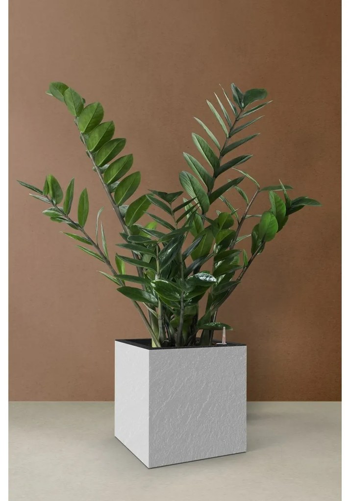 Flower Lover Samozavlažovací kvetináč Cubico Stone biela, 27 cm, 27 cm