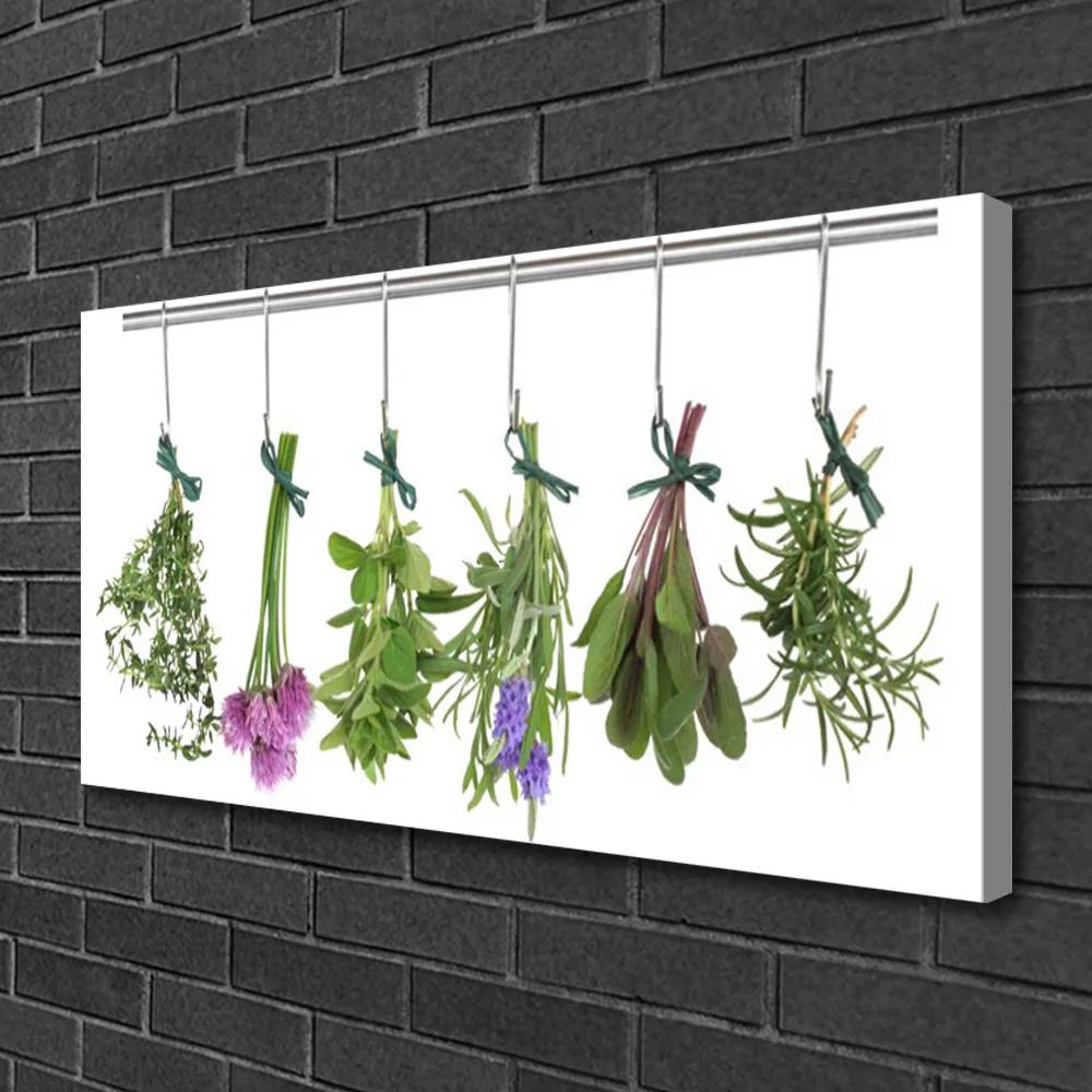 Obraz Canvas Plátky rastlina kuchyňa 120x60 cm