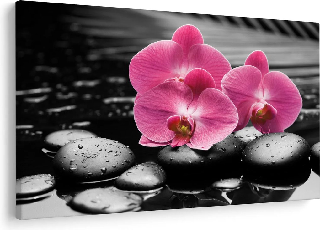 Obraz - Ružové orchidey (90x60 cm)