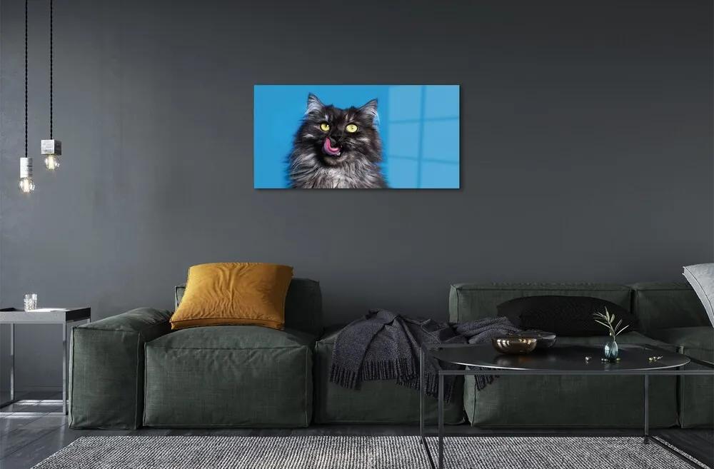 Sklenený obraz Oblizujący mačka 125x50 cm