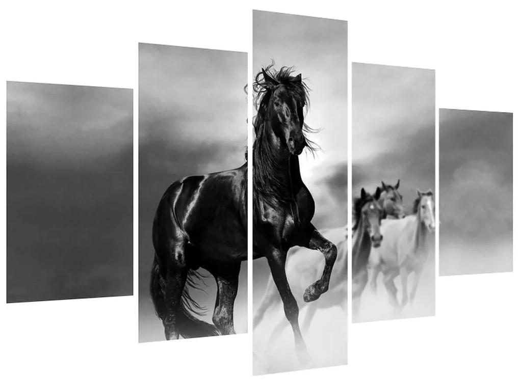 Obraz koňa (150x105 cm)