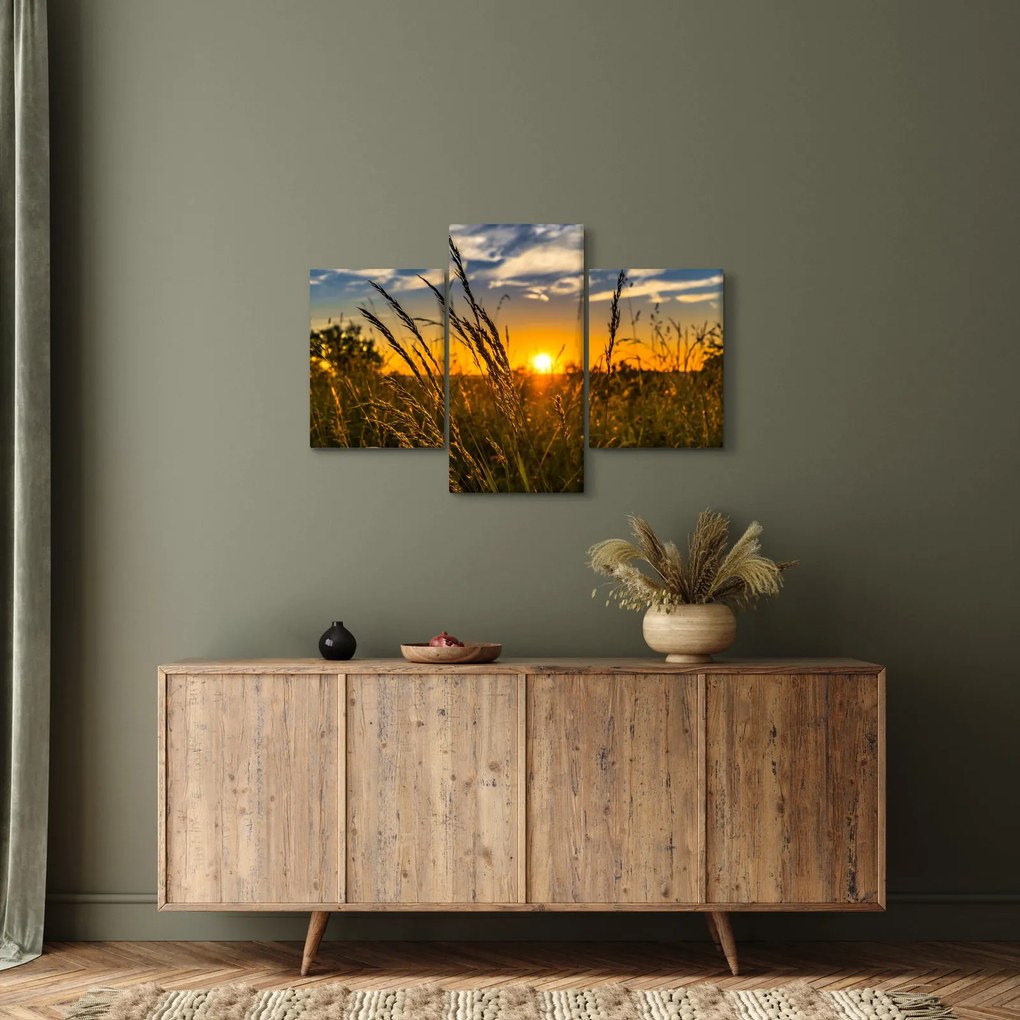 Obraz pole pri západe slnka (90x60 cm)