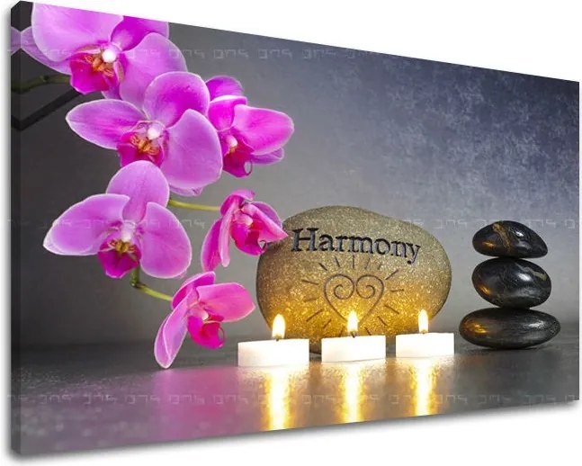 Obraz na stenu FENG SHUI FS023E11