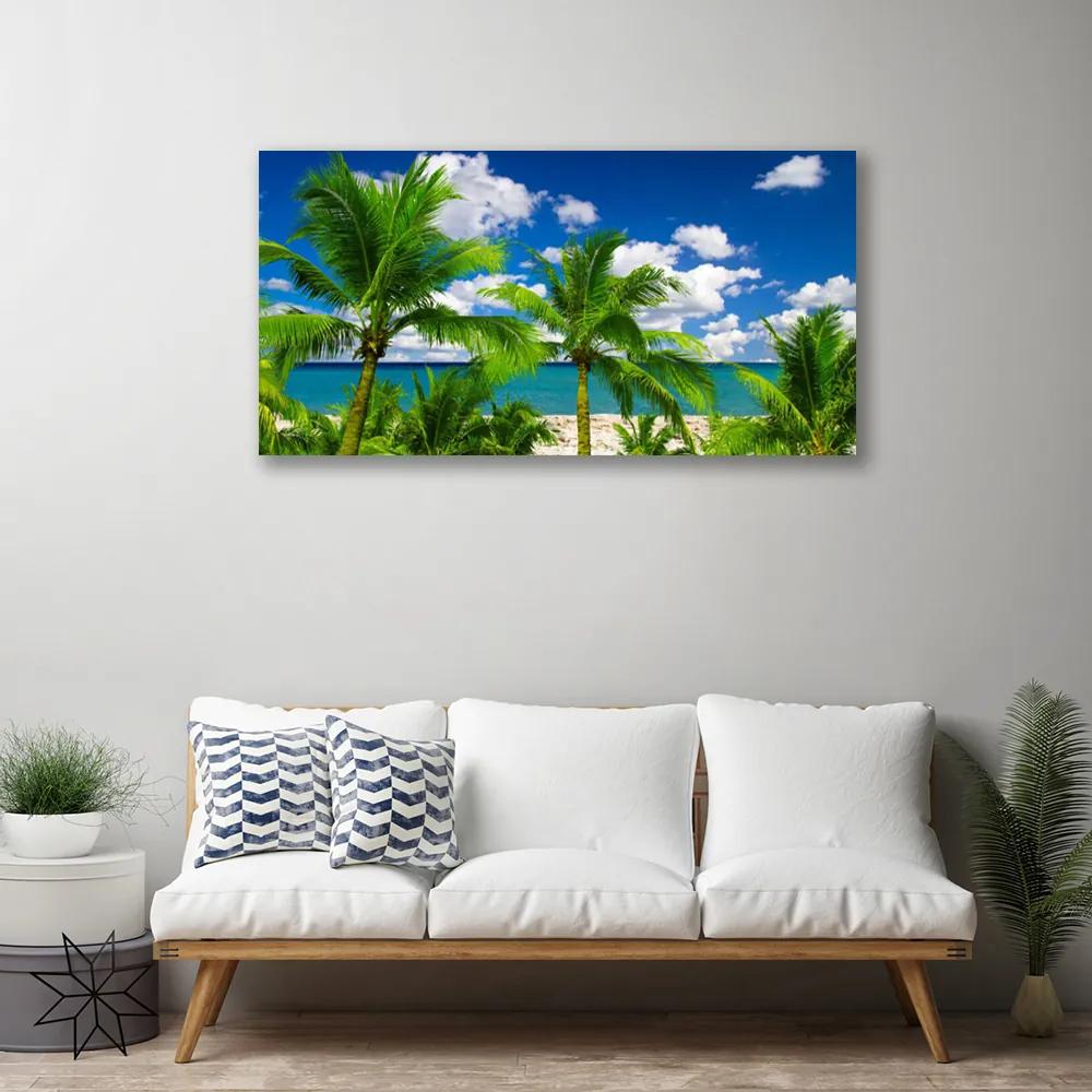 Obraz Canvas More palma stromy príroda 100x50 cm