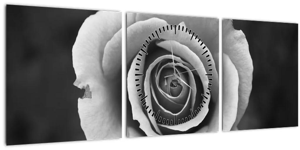 Obraz ruže (s hodinami) (90x30 cm)