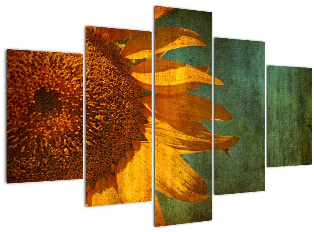 Obraz - Slnečnica (150x105 cm)