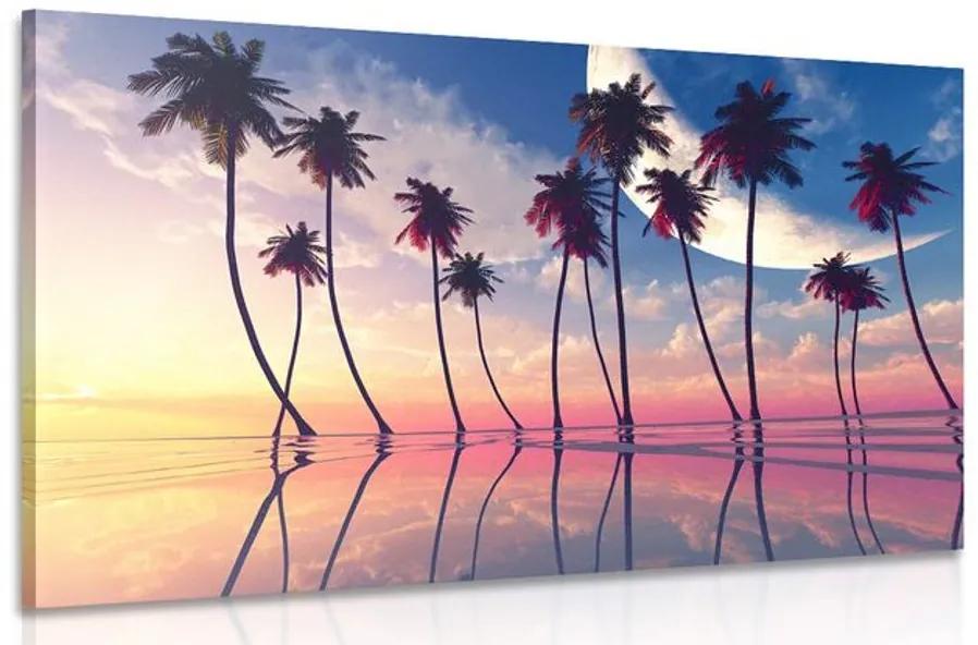 Obraz západ slnka nad tropickými palmami Varianta: 120x80