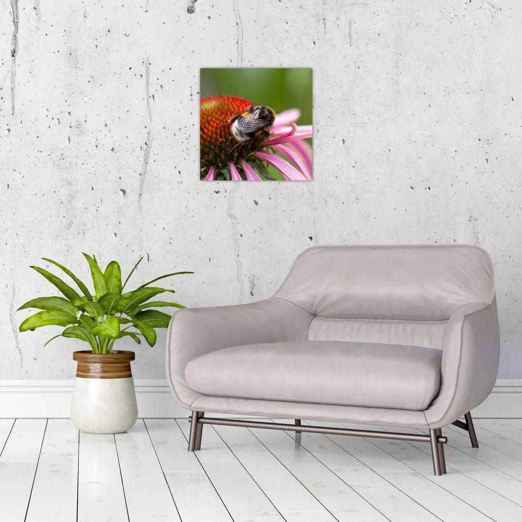 Obraz včely na kvete