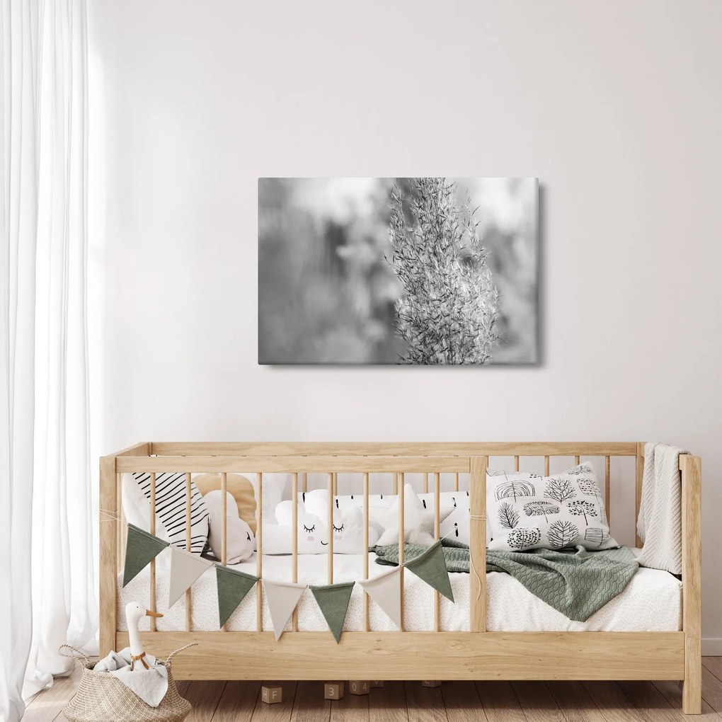 Obraz - Boho pampas grass (90x60 cm)