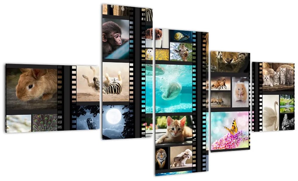 Koláž fotiek - obraz