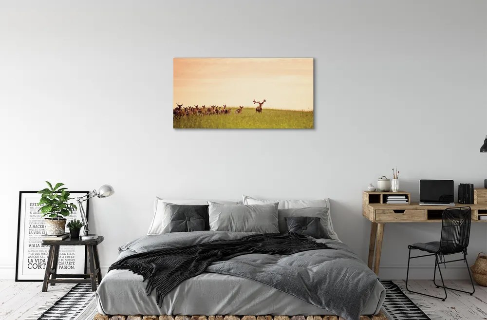 Obraz na plátne Stádo jeleňov poľa svitania 140x70 cm