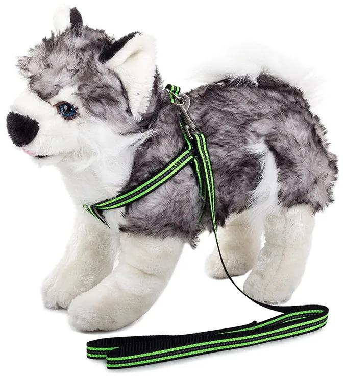 Postroj pre psa s vodítkom 125x1.5cm - reflexný | zelený
