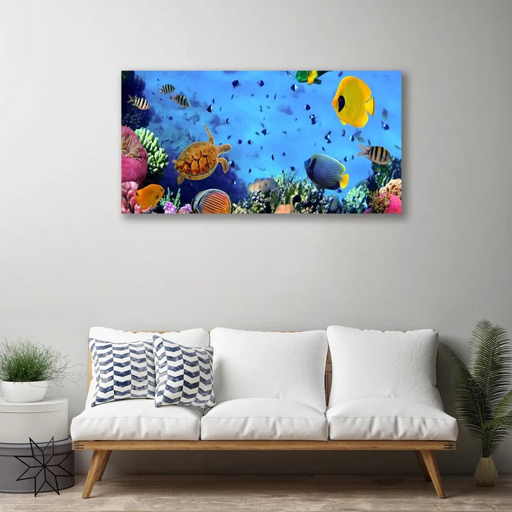 Obraz na plátne Koralový útes ryba príroda 120x60 cm