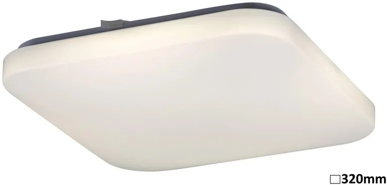 Rabalux LED stropné svietidlo Rob 1x32W | 2600lm | 4000K - biela