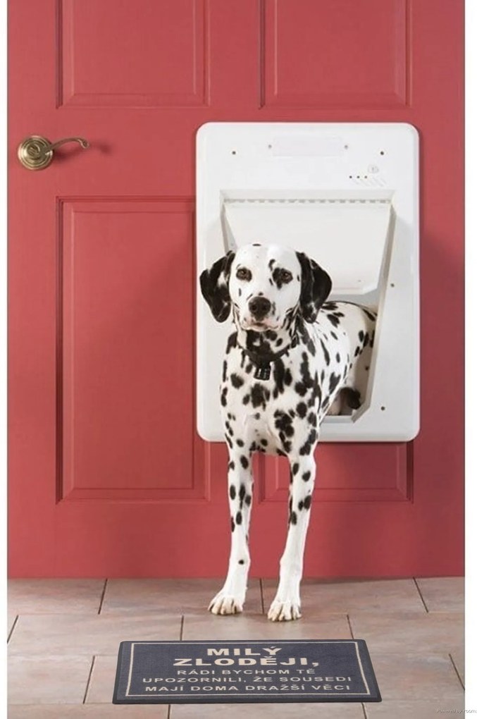 GDmats, Rohožka Milý zlodeji 40x60 cm – na von aj na doma, 40x60, šedá