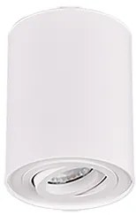 Trio Cookie stropné osvetlenie biela 612900131 TR612900131