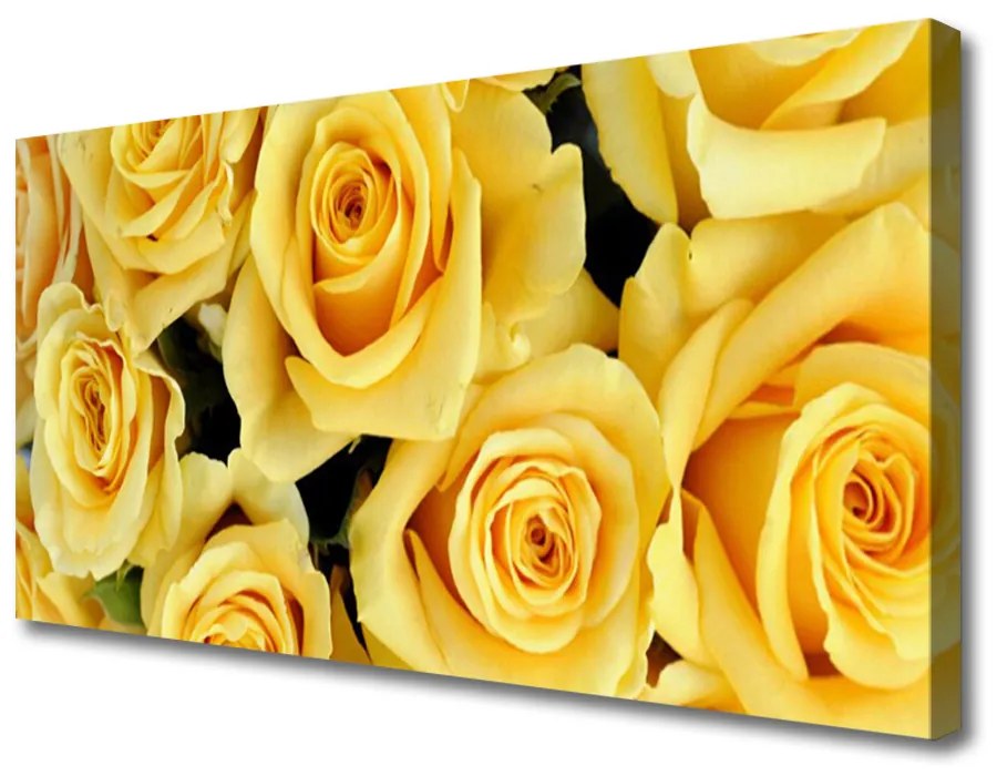 Obraz Canvas Ruže kvety rastlina 140x70cm